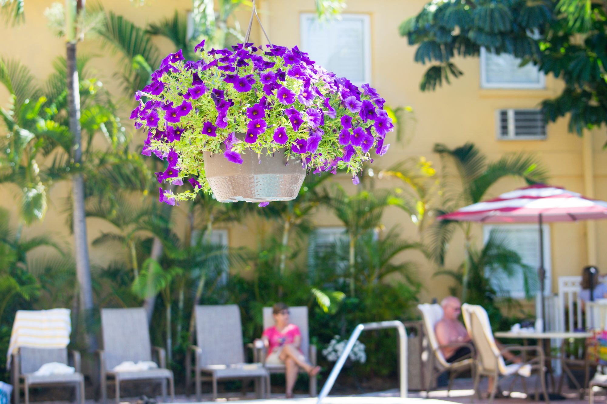 Inn At The Beach-Venice Florida Dış mekan fotoğraf
